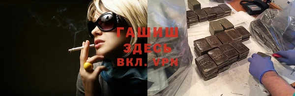 индика Бердск