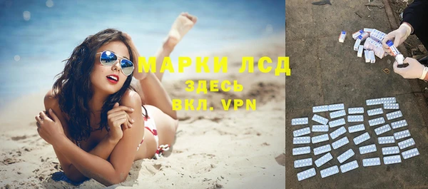 индика Бердск